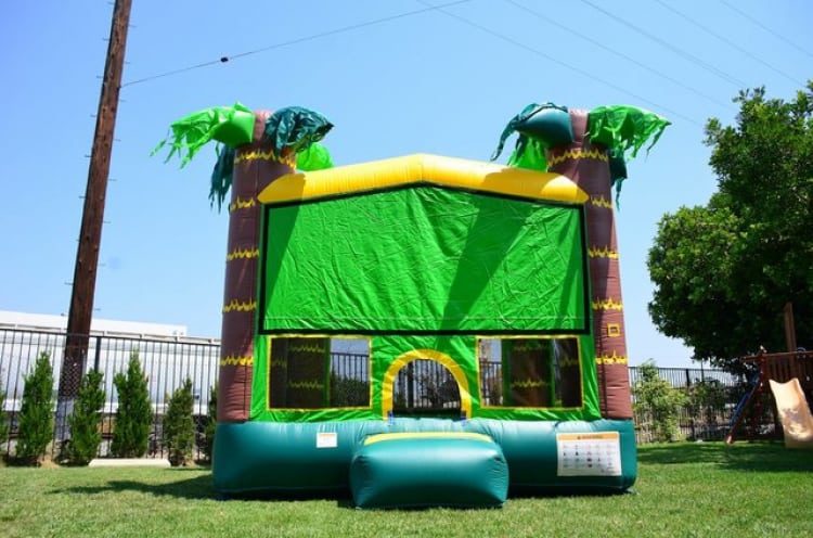 tropical bouncer 152050866 big Home